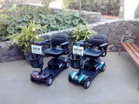 El Palmetum ofrece alquiler de vehículos adaptados para personas con movilidad reducida