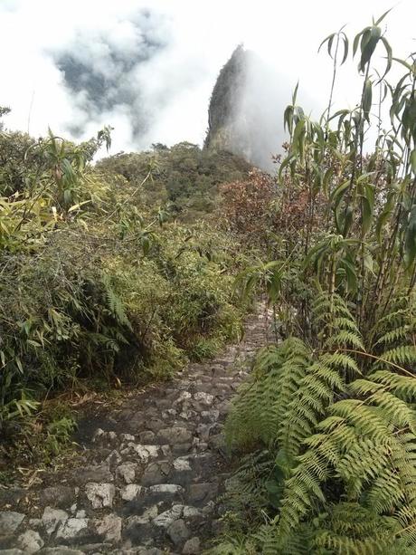 Subida a montaña Machu Picchu