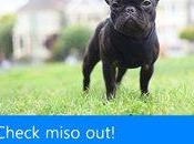 Facebook Messenger para Windows Phone incorpora mensajes