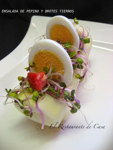 ENSALADA DE PEPINO Y BROTES TIERNOS