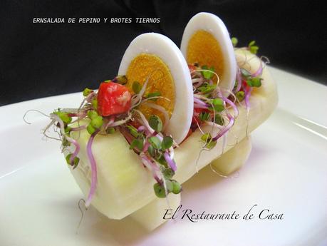 ENSALADA DE PEPINO Y BROTES TIERNOS