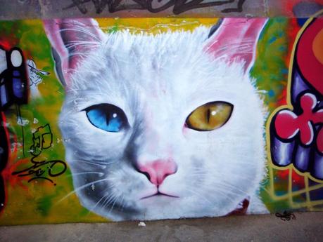 RELATOS CORTOS PUBLICADOS EN DIARIO 20 MINUTOS