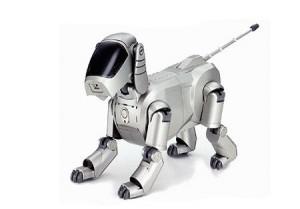 aibo