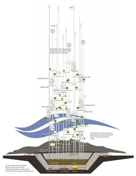 Semillas de Vida | Mekano Studio