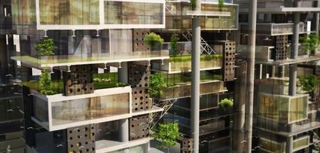 Semillas de Vida | Mekano Studio