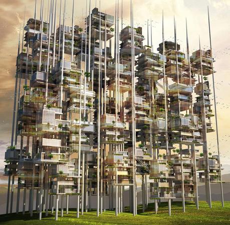 Semillas de Vida Mekano Studio