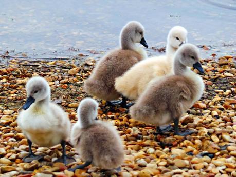 Art and Relax, un nombre muy acertado Art and Relax, un nombre muy acertado