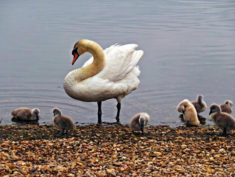 Art and Relax, un nombre muy acertado Art and Relax, un nombre muy acertado