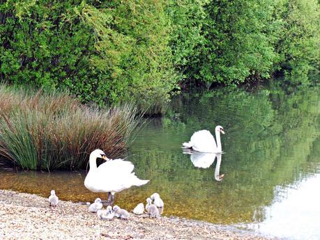 Art and Relax, un nombre muy acertado Art and Relax, un nombre muy acertado