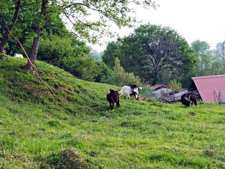 Art and Relax, un nombre muy acertado Art and Relax, un nombre muy acertado