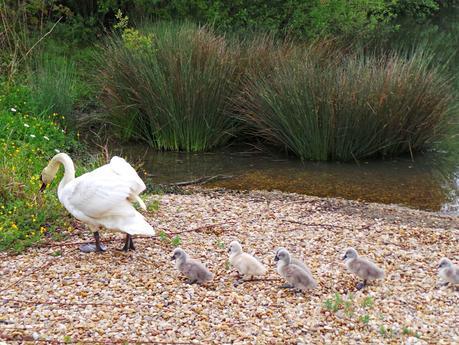 Art and Relax, un nombre muy acertado Art and Relax, un nombre muy acertado