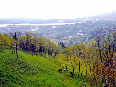 Art and Relax, un nombre muy acertado Art and Relax, un nombre muy acertado