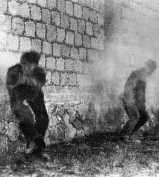 LA IRRUPCIÓN DEL LUMPENMoisés Cayetano RosadoEl lumpen no...