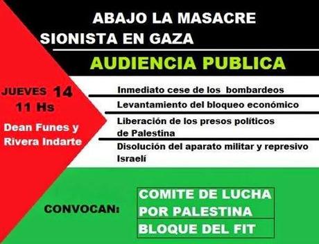 Audiencia Pública por Palestina