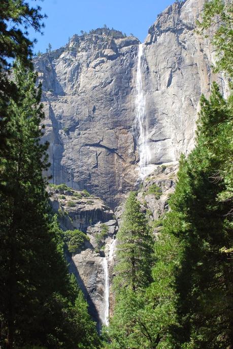 OLMSTED POINT: SECUOYAS