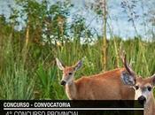 Concurso “Animales declarados monumentos naturales Chaco” (Chaco, Argentina)