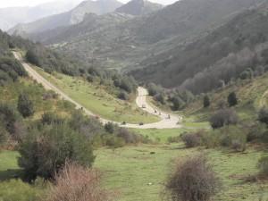 Las curvas son constantes