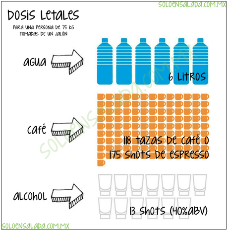 ¿Cuánta agua, café o alcohol puedes tomar?