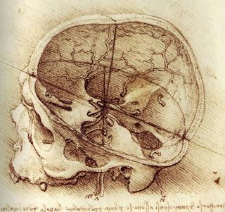 Historia del Cerebro o El Nacimiento de la Neurociencia