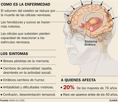 El Alzheimer: La Demencia más frecuente en el Envejecimiento (II)