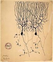 Sobre Ramón y Cajal, el Cerebro y la Vejez Sobre Ramón y Cajal, el Cerebro y la Vejez