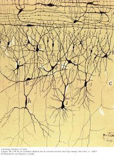 Sobre Ramón y Cajal, el Cerebro y la Vejez Sobre Ramón y Cajal, el Cerebro y la Vejez