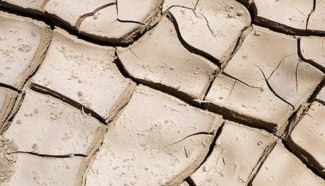 Conservar los recursos naturales pasa por cambiar los hábitos de consumo