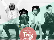 Twig Project, ingeniería para desarrollo