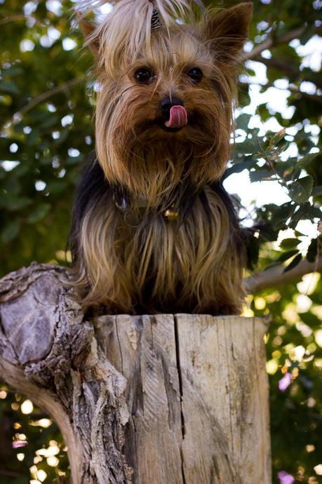 Simply Mixed Prints Look Simply Mixed Prints Look