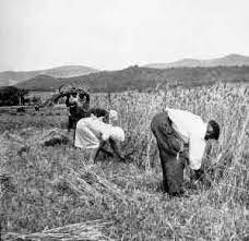 El ancestral culto a la naturaleza del día de la Virgen de Agosto