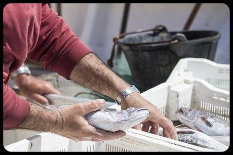 Rincones de Garrucha, Almería