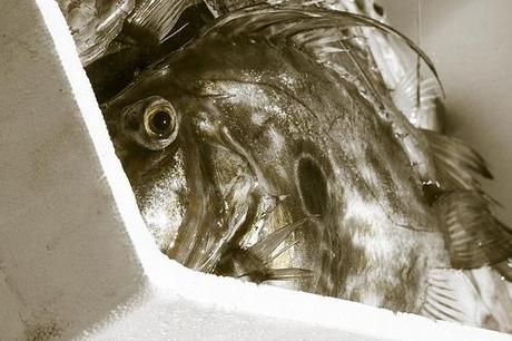 Rincones de Garrucha, Almería