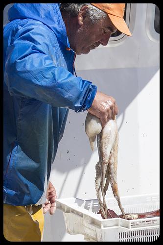 Rincones de Garrucha, Almería