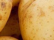Patata para acabar gases