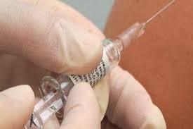 Prueban Vacuna contra el Virus Chikungunya