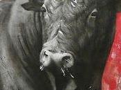 Simplemente TOROS.