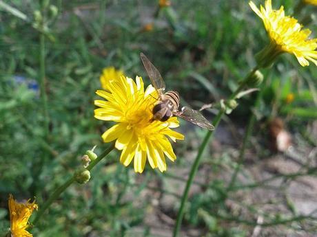 Androidografia Barakaldo 1218