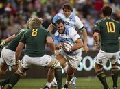 Pumas Sudáfrica Vivo, Rugby Championship 2014