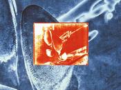 Dire Straits Calling Elvis (1991)