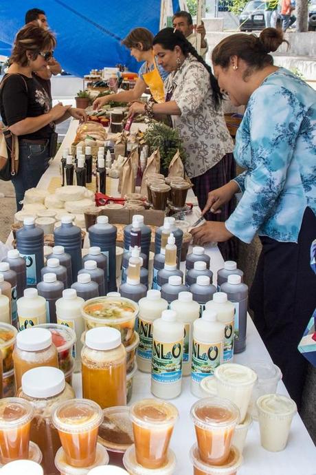 08_16_2016 TIANGUIS DE PRODUCTOS  ORGANICOS MACUILLI IMG_1063 (1)