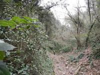 Font de la Teula. Parc de la Serralada de Marina