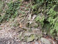 Font de la Teula. Parc de la Serralada de Marina