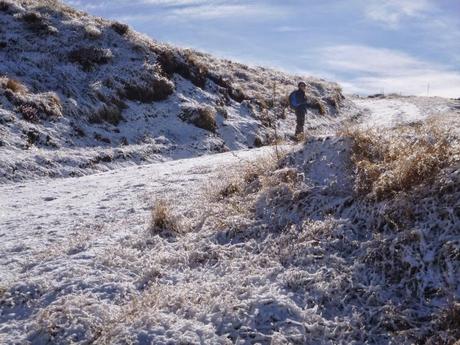 SENDERISMO EN LA ZONA DE QUEENSTOWN: ATLEY TRACK