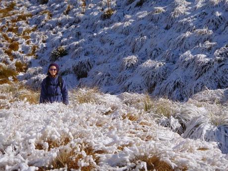 SENDERISMO EN LA ZONA DE QUEENSTOWN: ATLEY TRACK