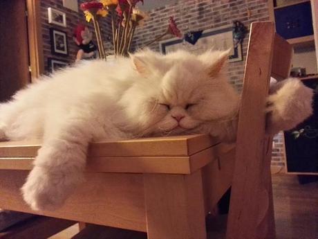 Androidografia Barakaldo CDLII. No molestes... Androidografia Barakaldo 1708