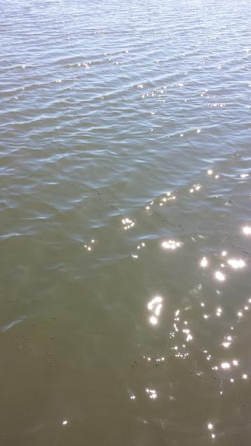 EL ESPÍRITU DE DIOS INTERCEDE POR NOSOTROS