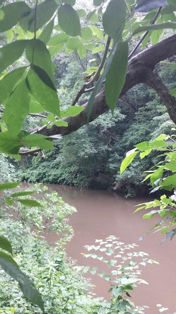 CONFIANDO EN LA VOLUNTAD DE DIOS