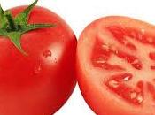 Tomate, redondo sabroso antioxidante
