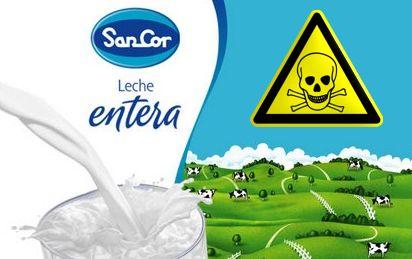 La leche argentina produce cáncer de colon, mamas y próstata.