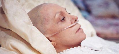 La leche argentina produce cáncer de colon, mamas y próstata.